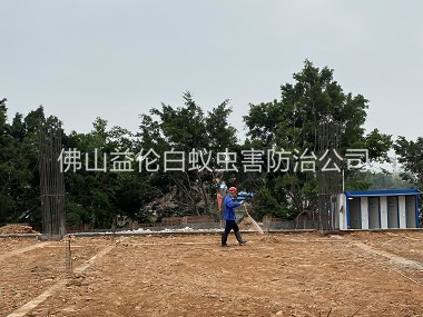 勒流地基新建预防白蚁工程